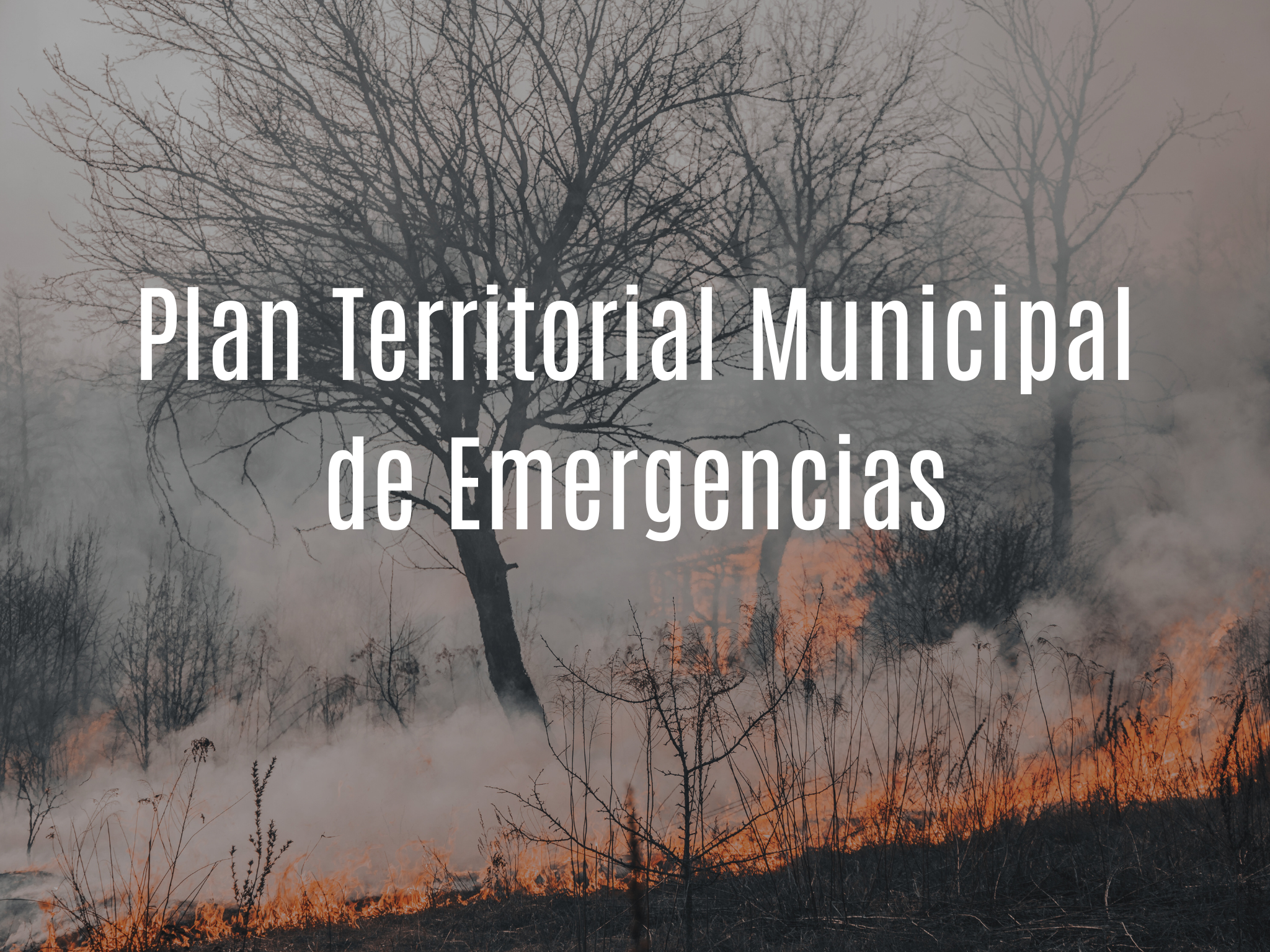 Plan territorial municipal de emergencias de Benicàssim